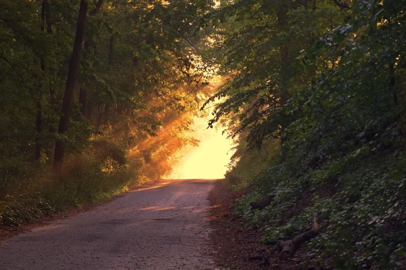 Mazowsze na weekend: gotowy plan na spokojną turystykę w Polska